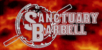 Barbell GIF by Sanctuary Atheltics