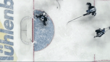 DEL-Redaktion  GIF