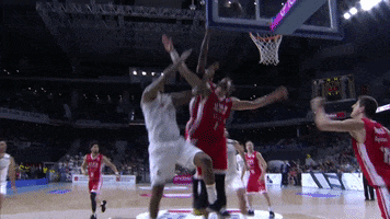 rebound real madrid GIF by ACB