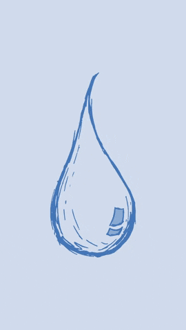 Ingredients Hair Products GIF by Loma Hair Care