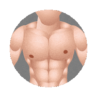 Drag Queen Love Sticker by ROMEO