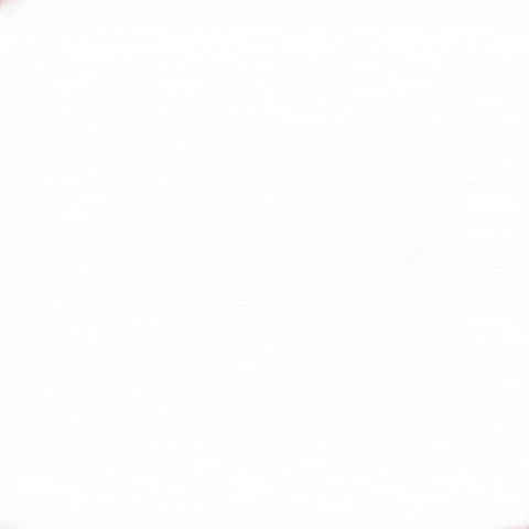 Shottie GIF
