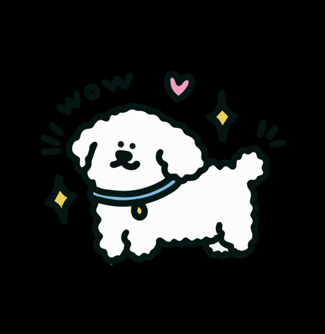 GIF by TOUTOU Petcare