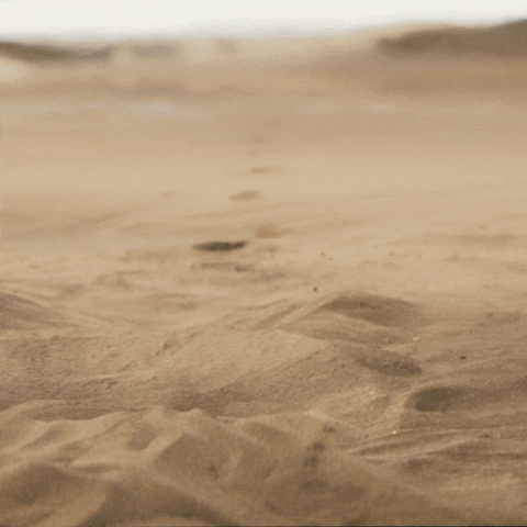 Small Business Sand GIF by Xero