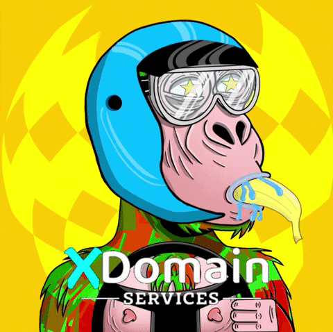 Domain Ens GIF by XDomain Services