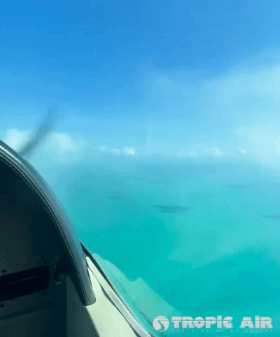 GIF by Tropic Air Belize