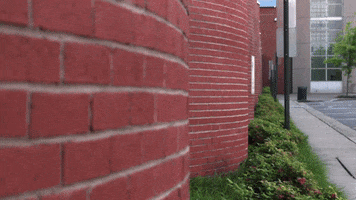 200.gif?cid=fc005b081e7876e98fb16162c58653094405a25fd3374535&rid=200.gif&ct=g