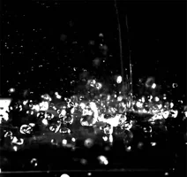 black and white love GIF