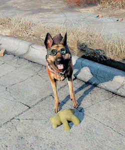 fallout GIF