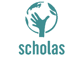 Scholasitalia Sticker by Scholas