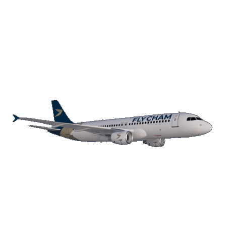 Fly Sticker by Flycham