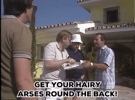 Get Your Hairy Arses Round The Back GIF