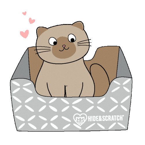 Cat If I Fits I Sits Sticker by Hide & Scratch