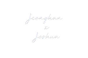 Joshua 세븐틴 Sticker