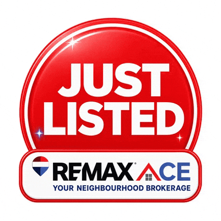 Realtor GIF by ReMaxAce Realty, Inc Brokerage