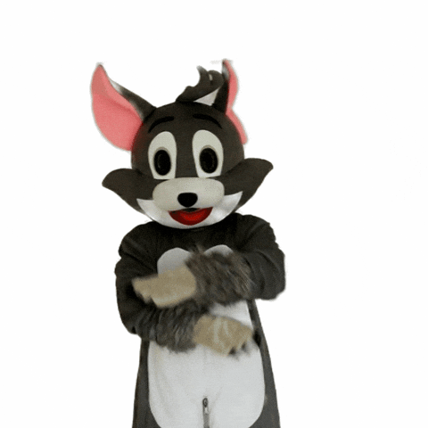 American Football GIF by Kirchdorf Wildcats
