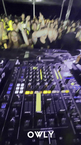 Fun Dancing GIF by OWLY