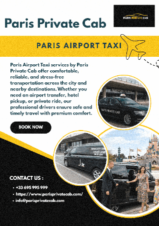 Airport Taxi Paris GIF