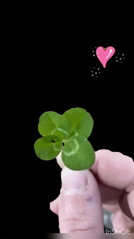 Manaluvia GIF