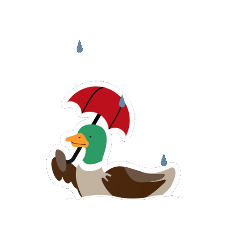 Lancasterweather Sticker by Lancaster University