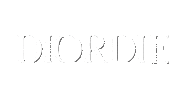 Fashion Logo Sticker by Diordie