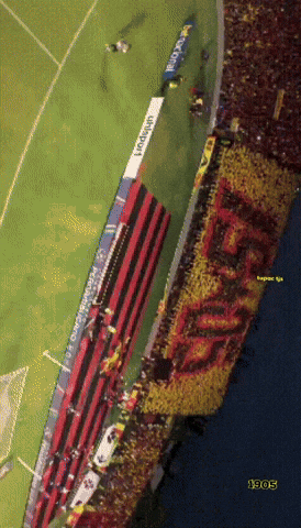 1905 GIF
