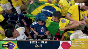 Brazil Fans GIF