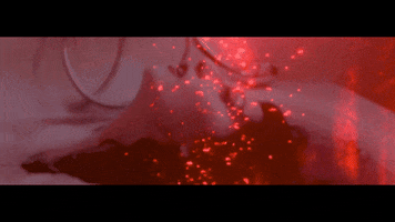 Cat GIF