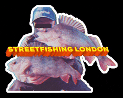 Bass Lure GIF by Streetfishing London