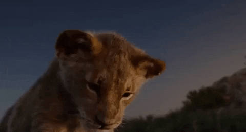 The Lion King Simba GIF - Find & Share on GIPHY