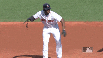 Red Sox Dance GIF by MLB