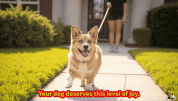 Pam Dogwalker GIF by Paws Around Motown
