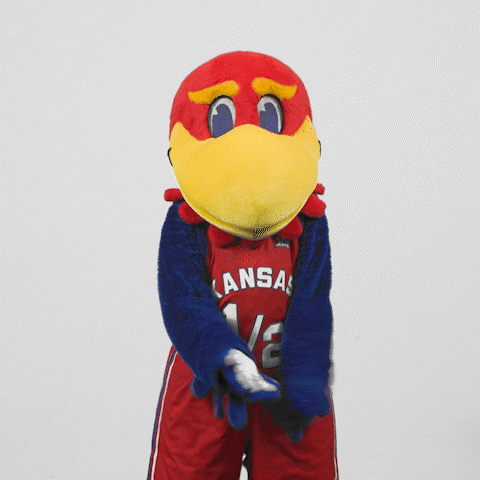 Mascot Jayhawks GIF by University of Kansas