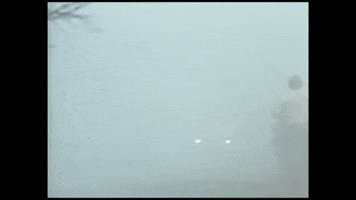 Rally GIF