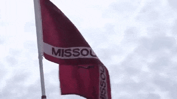 Missouri State Flag GIF by Missouri State University