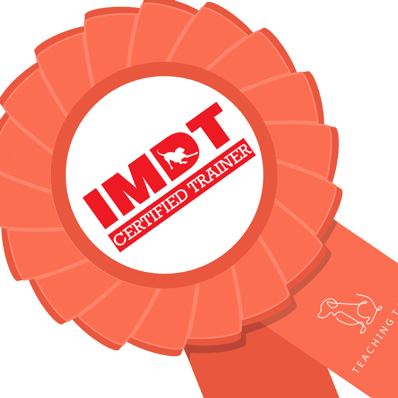 Teachingtailsdogtraining Sticker by Teaching Tails