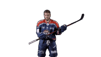 Ducs Dangers Hockey Sticker by Les Ducs d'Angers