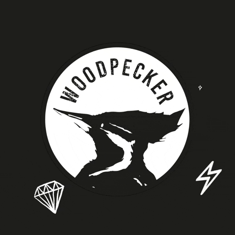 WoodpeckerFamily birds woodpecker GIF