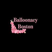 Dede GIF by Balloonacy Boston