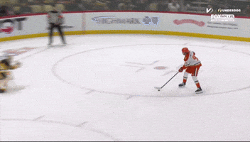 Hockey GIF