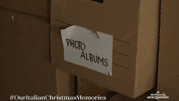 Christmas Vintage GIF by Hallmark Mystery