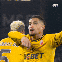WolvesFC-brazil-premier-league-joao-gomes-p9NtYAUsEM9ym2dkUJ