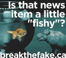 MediaSmarts GIF