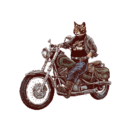 Cat Sticker
