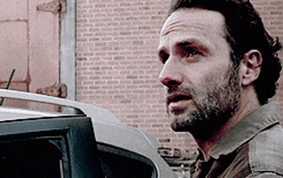 the walking dead twd GIF