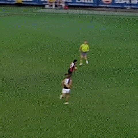 GIF by Essendon FC