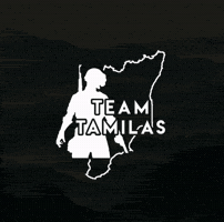 Pubg GIF