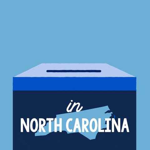Voting North Carolina GIF by #GoVote