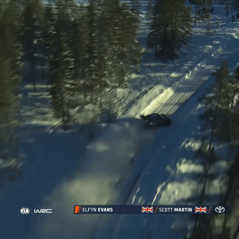 Fail Too Fast GIF by FIA World Rally Championship