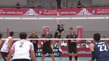 Celebrate Canadian GIF by Volleyball World